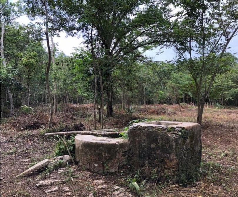 LAND FOR SALE IN VALLADOLID, YUC. 9.6 HA