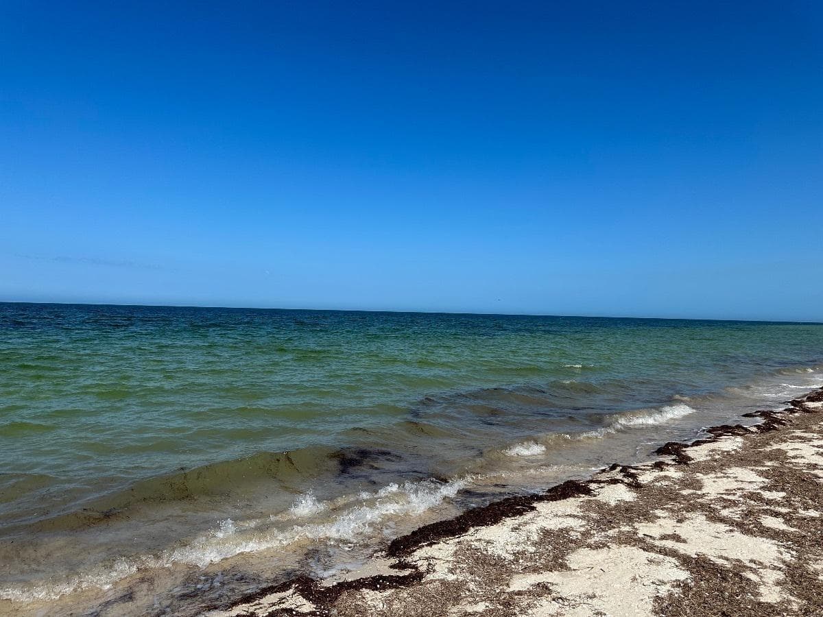 Land for Sale ON THE BEACH, DIRECTLY ON THE OCEAN, in Telchac, Mérida, Yucatán