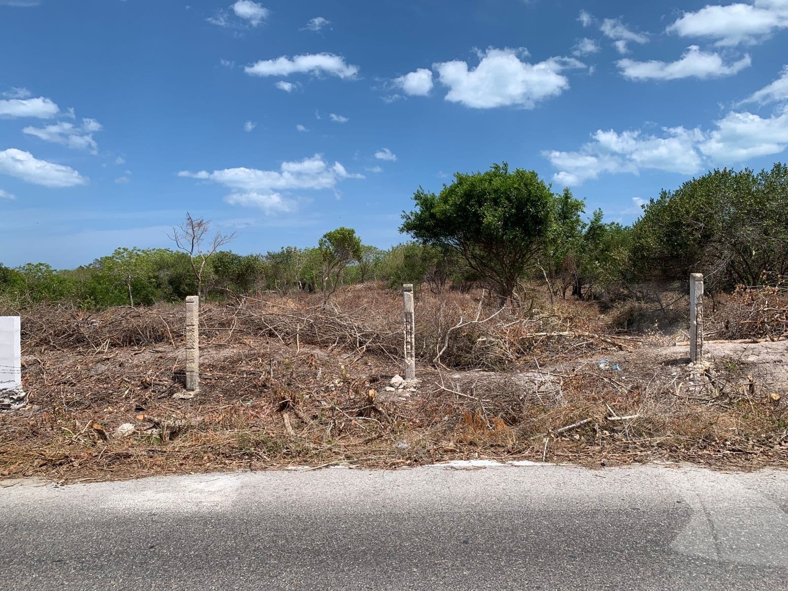 Oceanfront lot in Dzilam de Bravo, measuring 82 meters wide by 190 meters deep