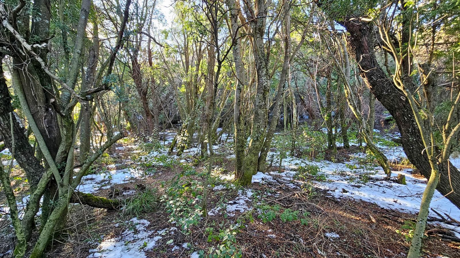Co Runge, Belgrano Neighborhood - Bariloche