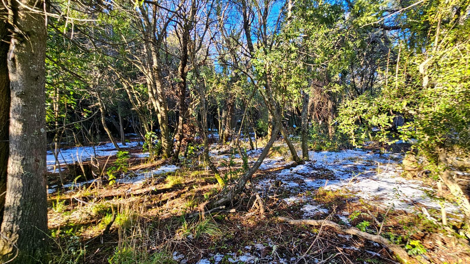 Co Runge, Belgrano Neighborhood - Bariloche