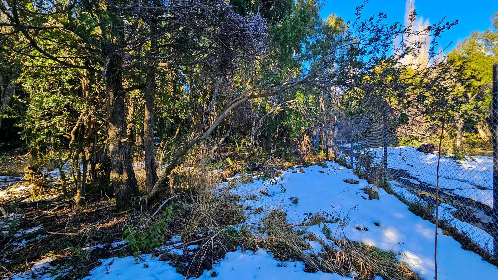 Co Runge, Belgrano Neighborhood - Bariloche
