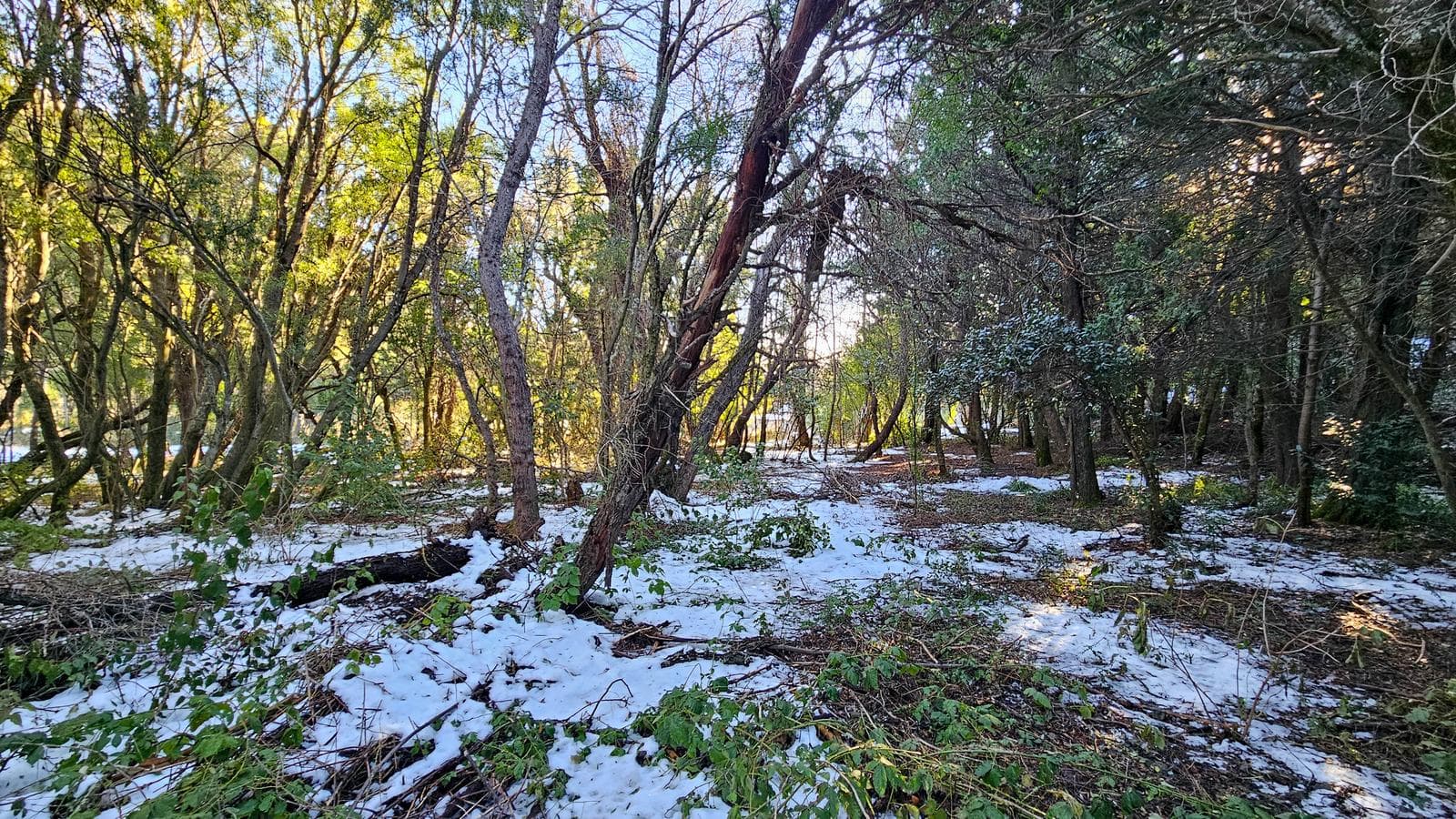 Co Runge, Belgrano Neighborhood - Bariloche