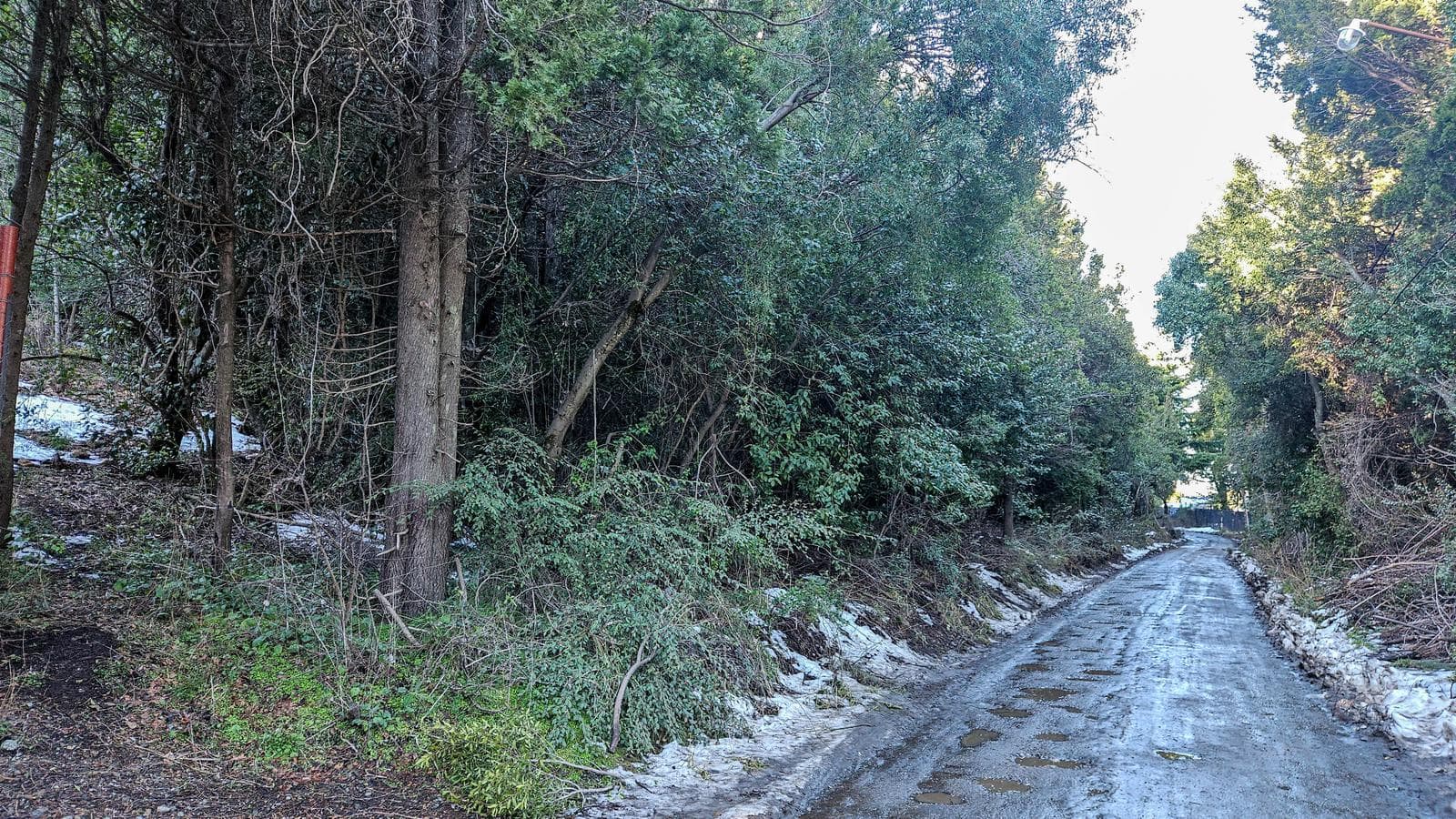 Land for Sale by Runge Co. - Belgrano Neighborhood - Bariloche