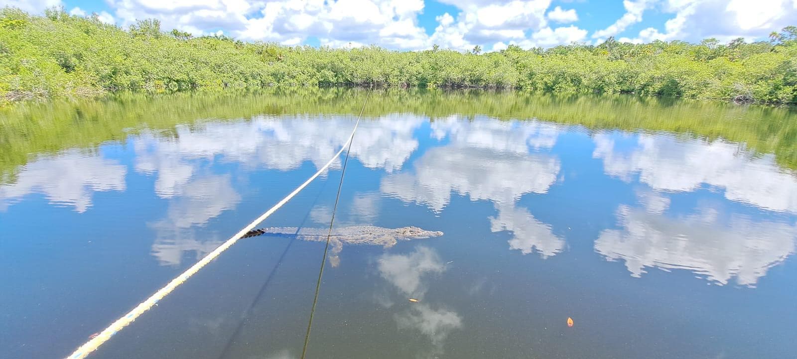 1,100 M² LOT FOR SALE IN AKUMAL, PLAYA DEL CARMEN, WITH A CENOTE AND AMENITIES