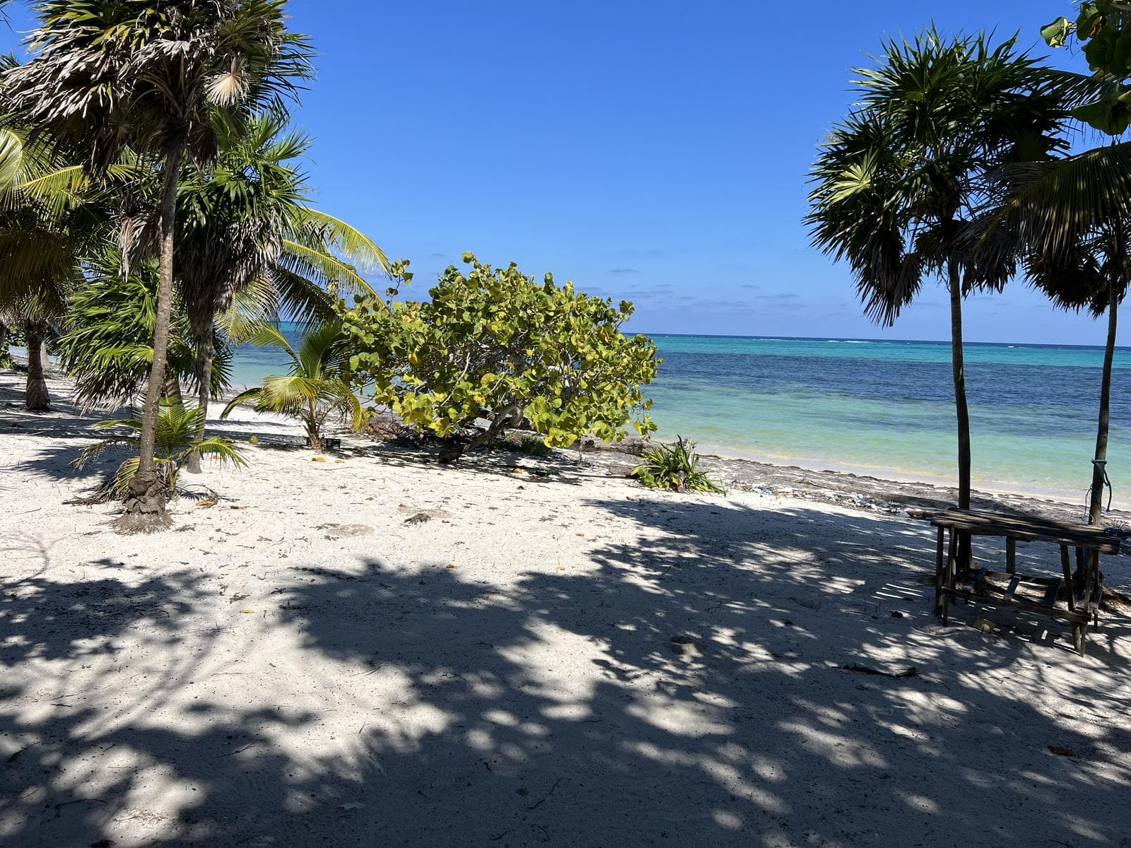 LAND FOR SALE ON MAHAHUAL SUR BEACH