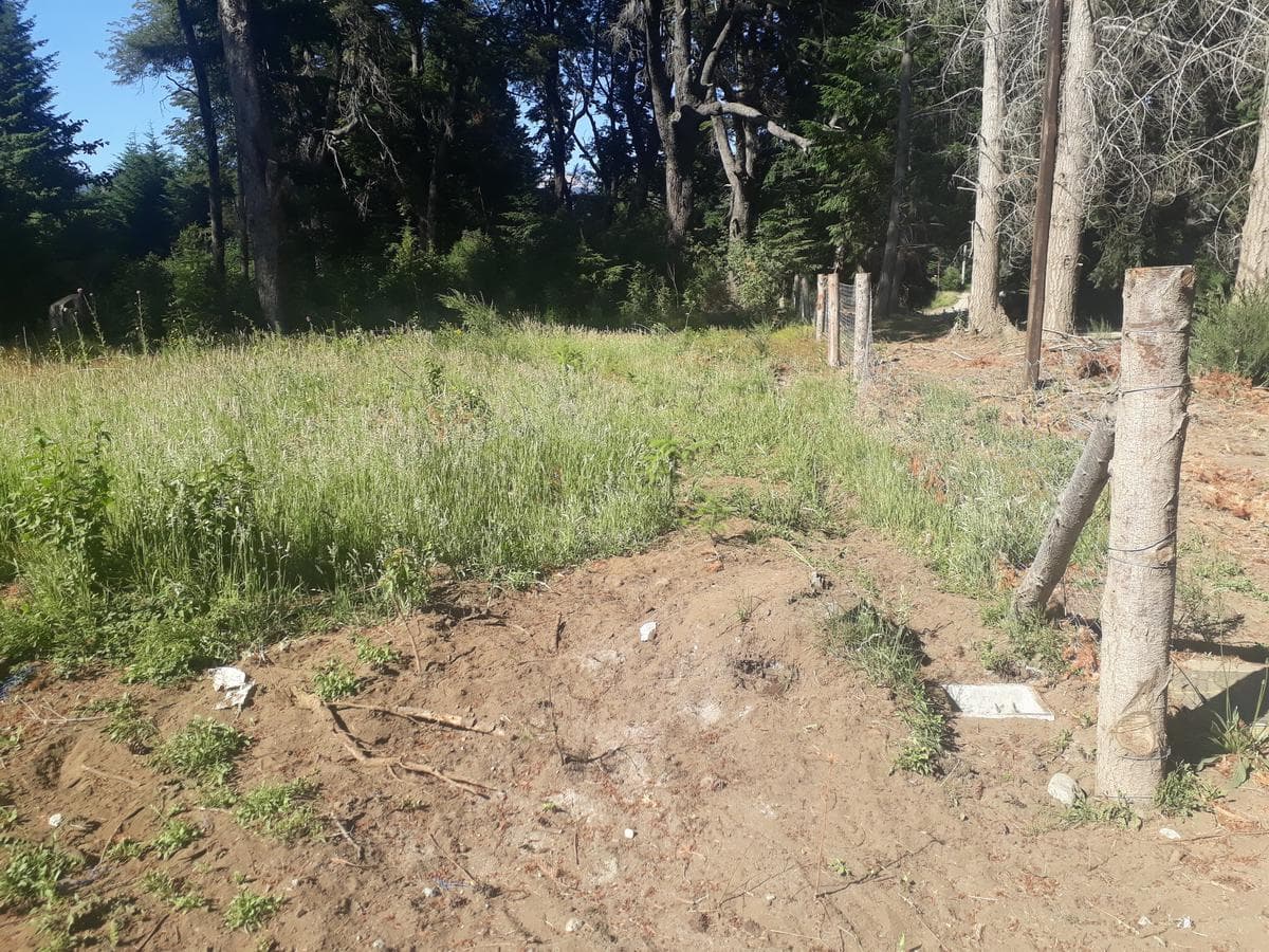 Plot suitable for a culinary tourism venture, Av. Bustillo, km 21 - Bariloche