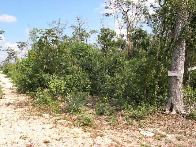 LAND FOR SALE IN CANCÚN IN LEONA VICARIO ON THE CANCÚN–MÉRIDA HIGHWAY