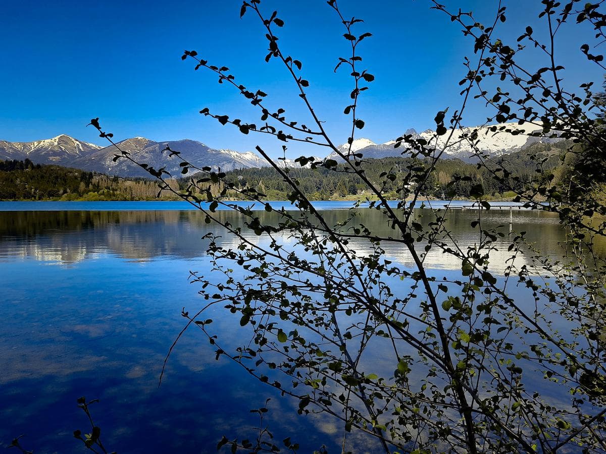 San Pedro Peninsula, Nahuel Huapi Lake Shore