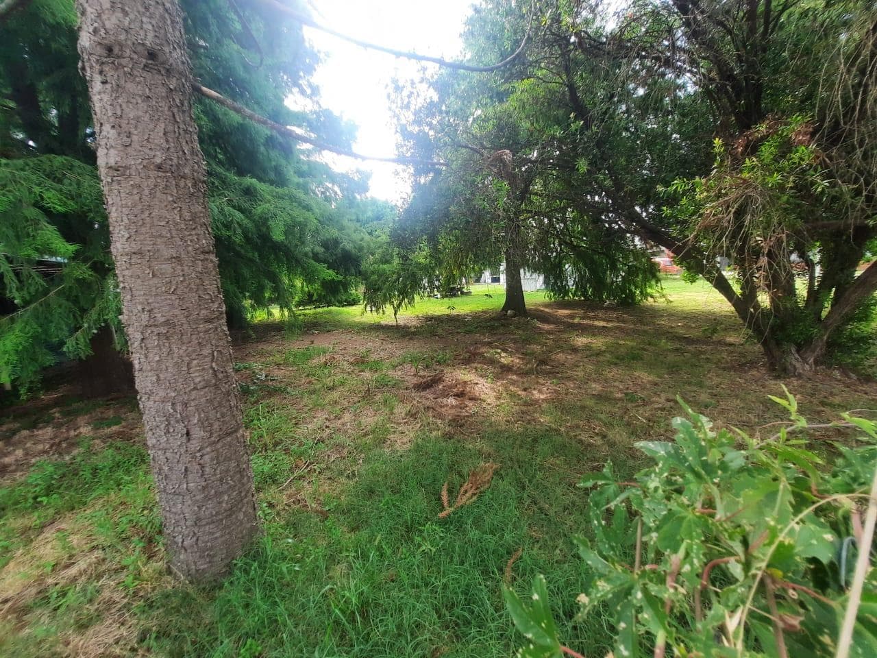 Bario Tango - Title Deed - Will be traded for a higher-value apartment!