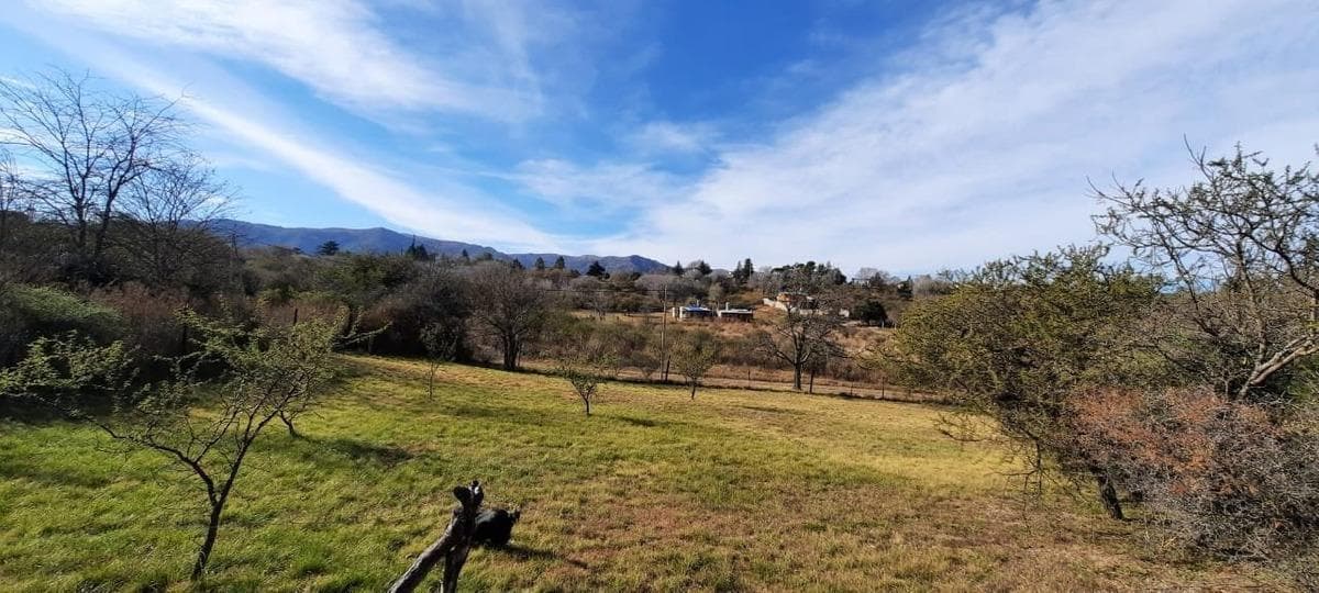 Lots for Sale in Valle Hermoso