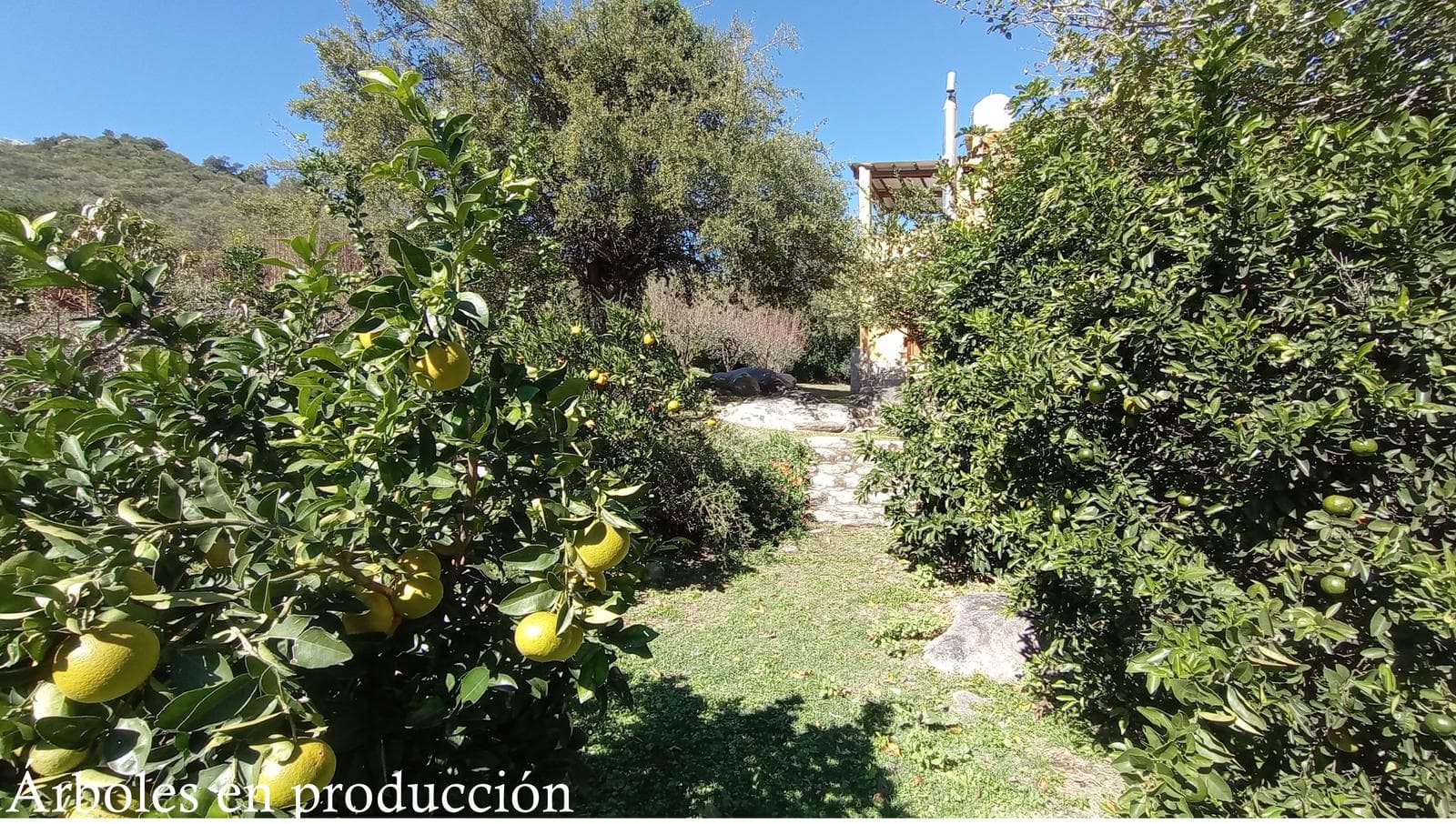 High-Altitude Ranch in Villa de Las Rosas | 2.5 Hectares | Nestled Between Mountains and Valleys