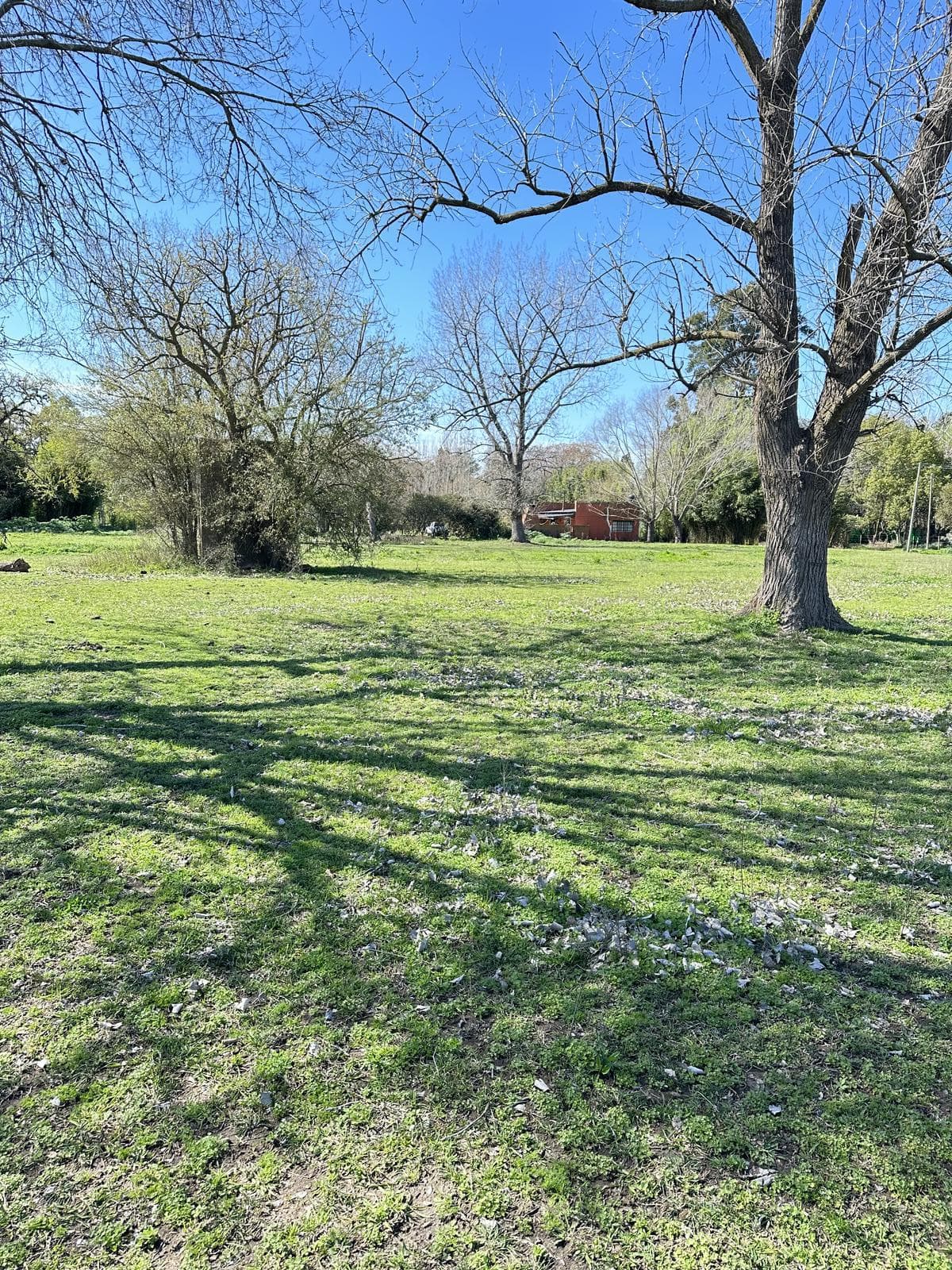 Land for Sale in Lobos, Lots of Nearly 1 ha