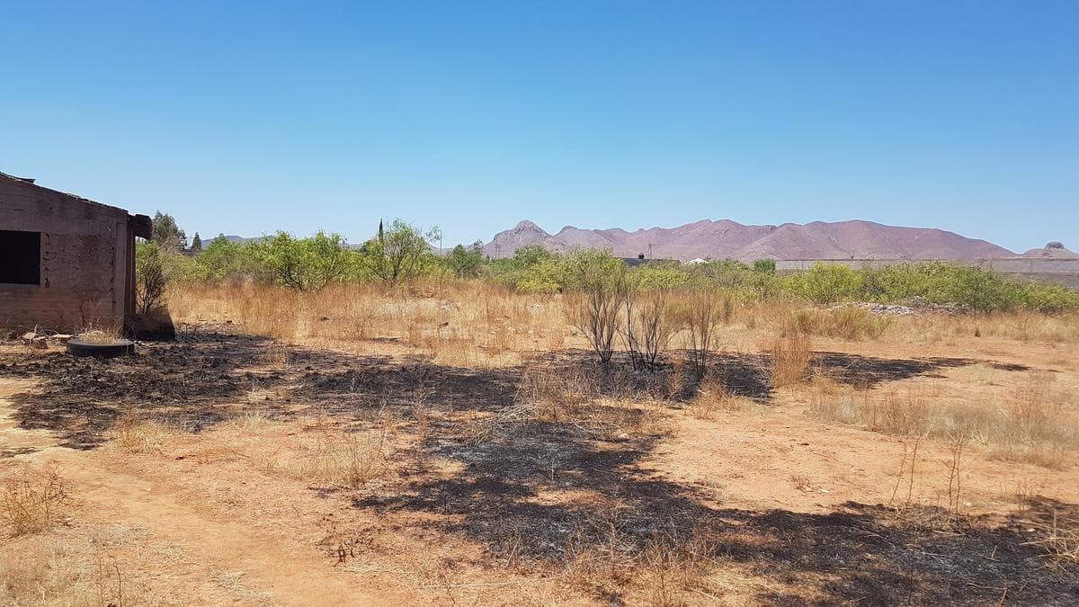 Land for Sale Along the Aldama Road