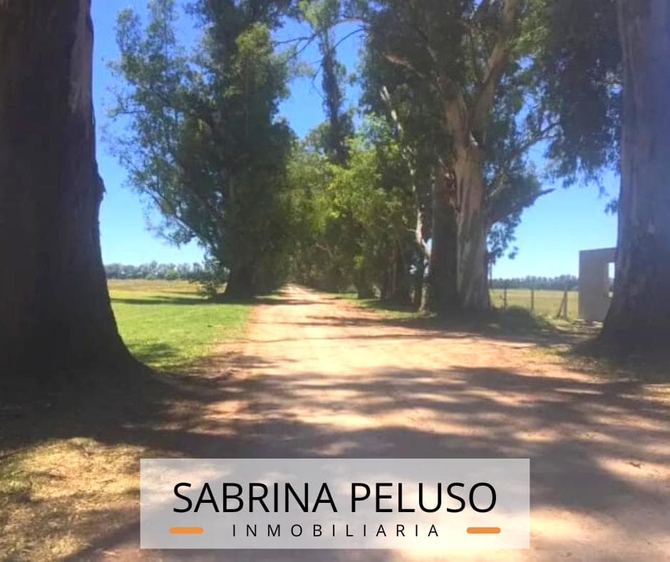 Land for Sale in Tres Pinos