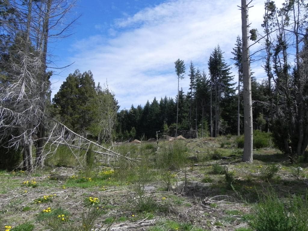 Plot suitable for a culinary tourism venture, Av. Bustillo, km 21 - Bariloche