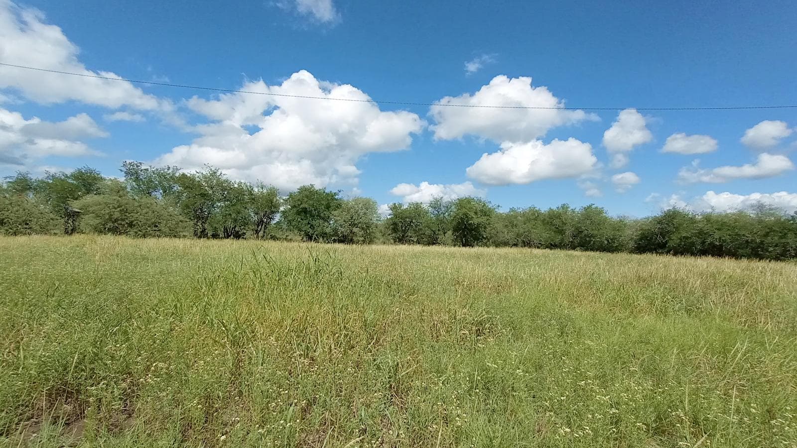 Flat Lot in La Tapias | Between San Javier and Las Rosas | Deed and Utilities | 760 m²