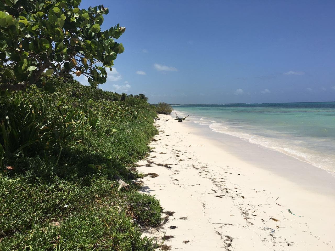BEACHFRONT LAND FOR SALE