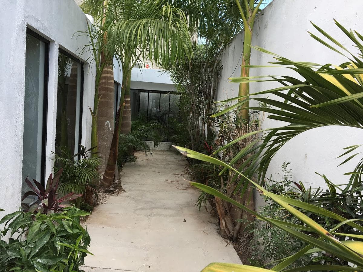Furnished Office for Rent in Col. México near Prolongación Montejo, Mérida.