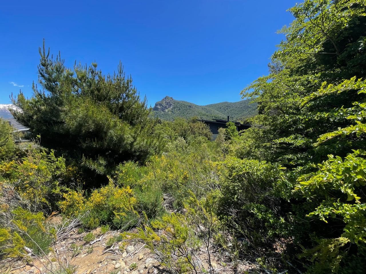 Lot in Arelauquen Golf