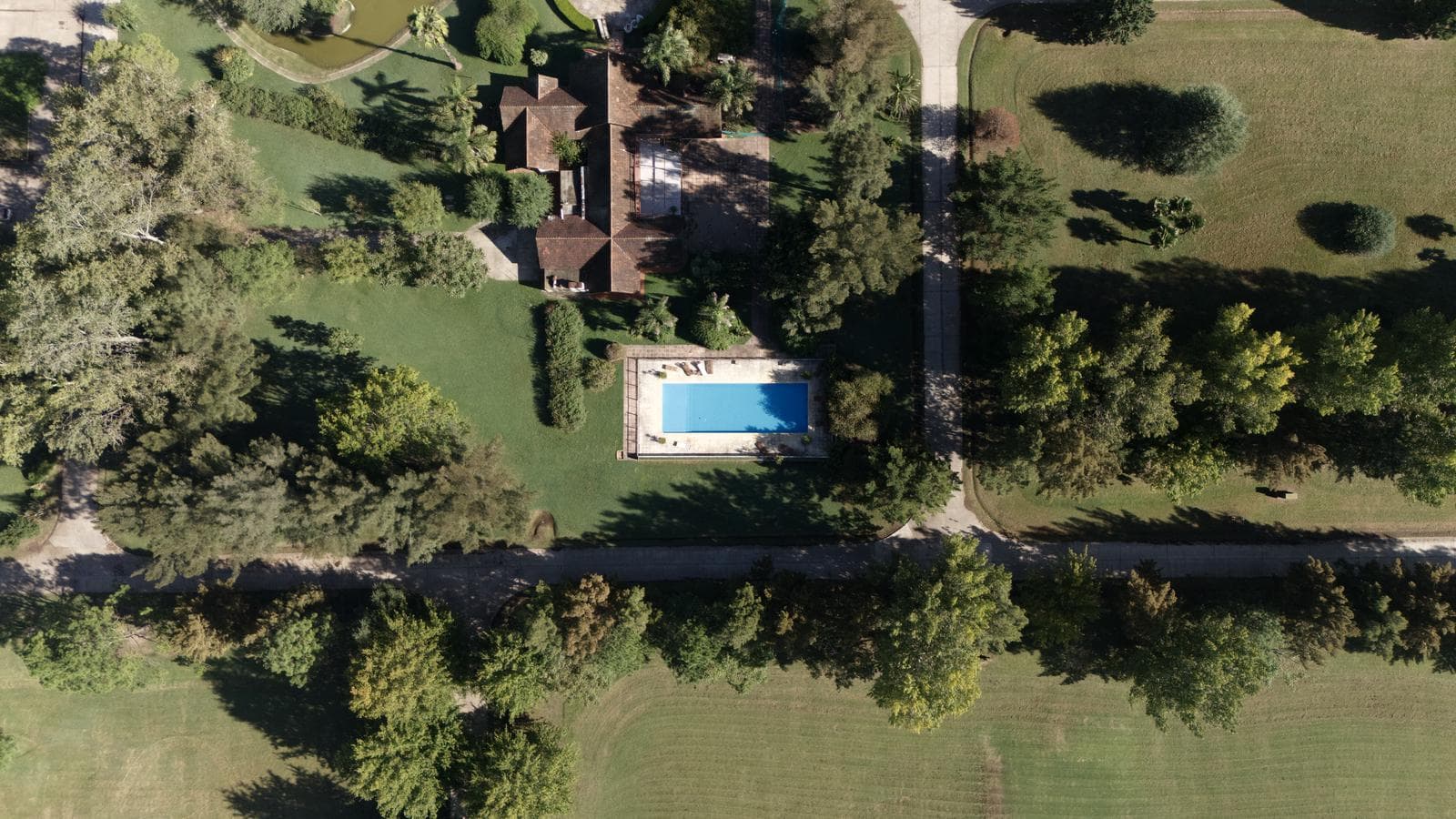 Dive into the exciting world of La Federala, where your dreams will come to life like never before!
