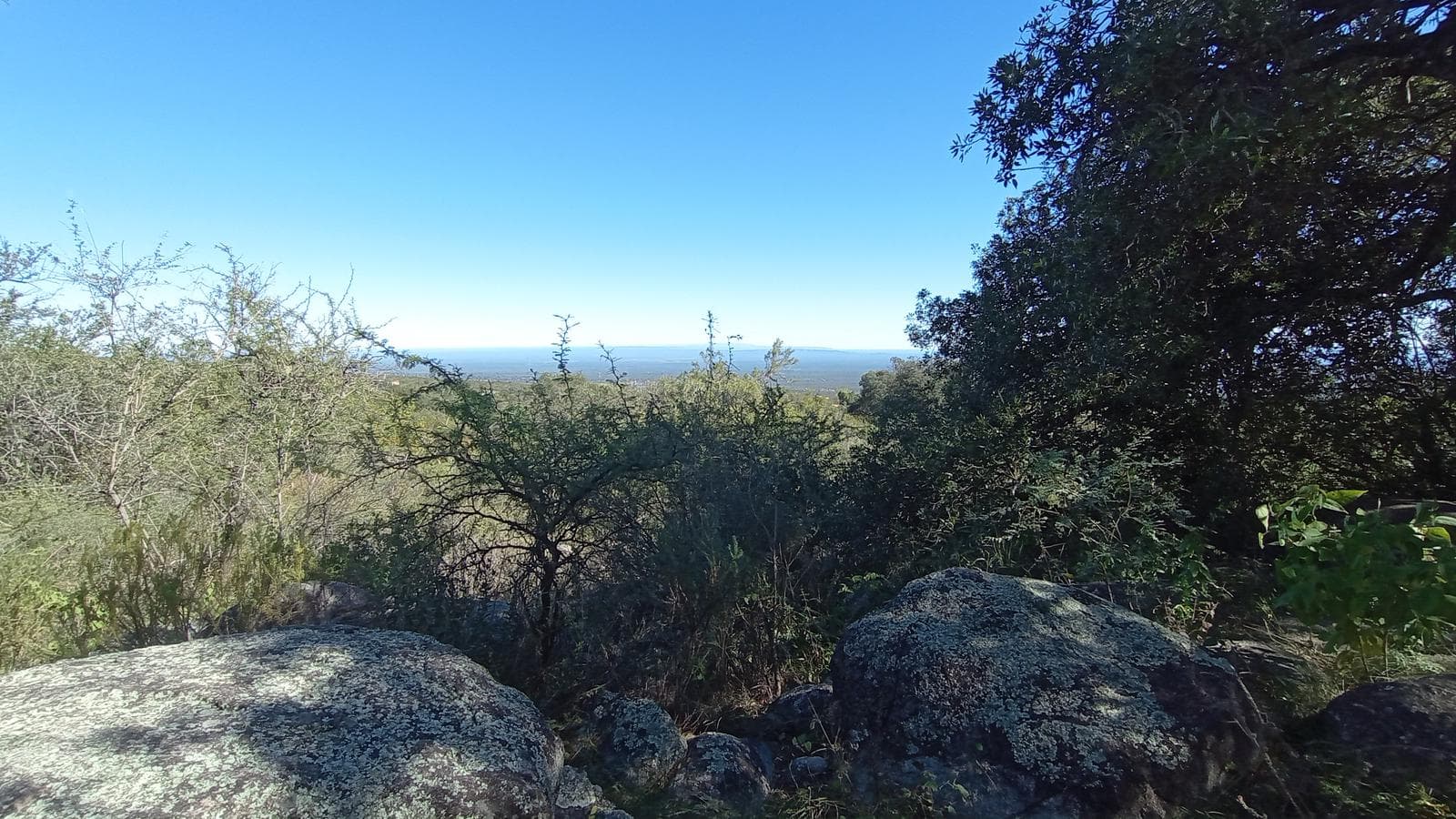 High-Altitude Ranch in Villa de Las Rosas | 2.5 Hectares | Nestled Between Mountains and Valleys
