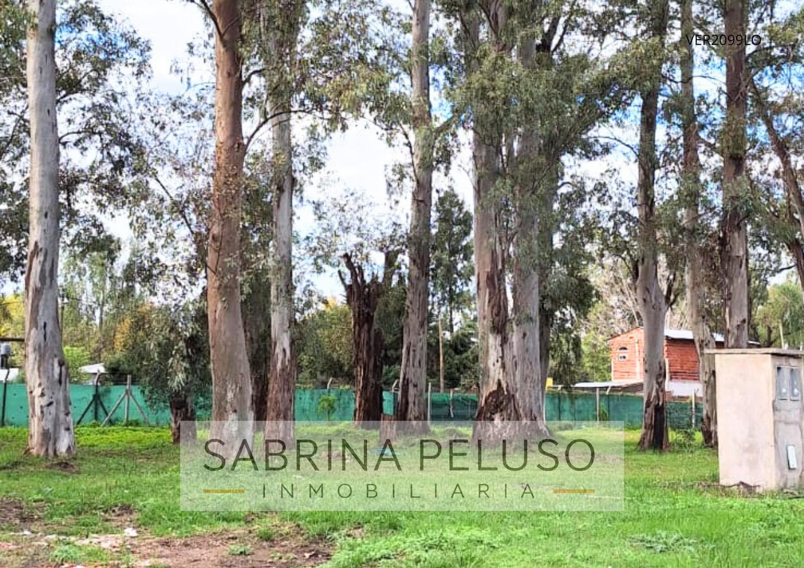 HOUSE FOR SALE in Alvarez del Bosque, MORENO