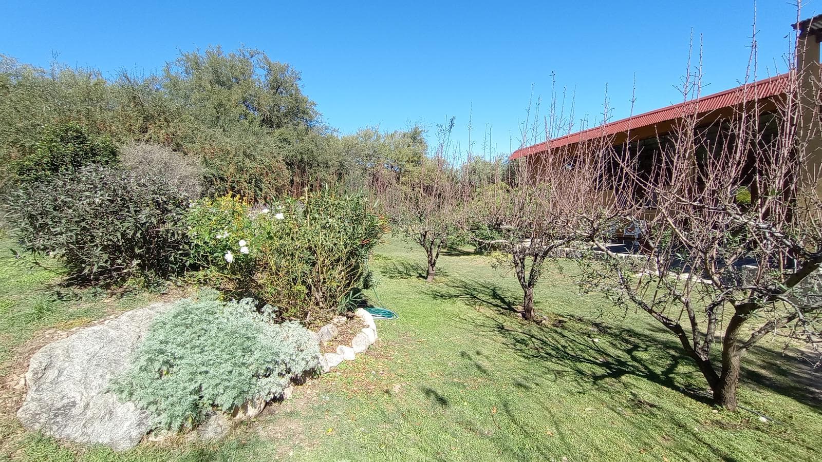 High-Altitude Ranch in Villa de Las Rosas | 2.5 Hectares | Nestled Between Mountains and Valleys