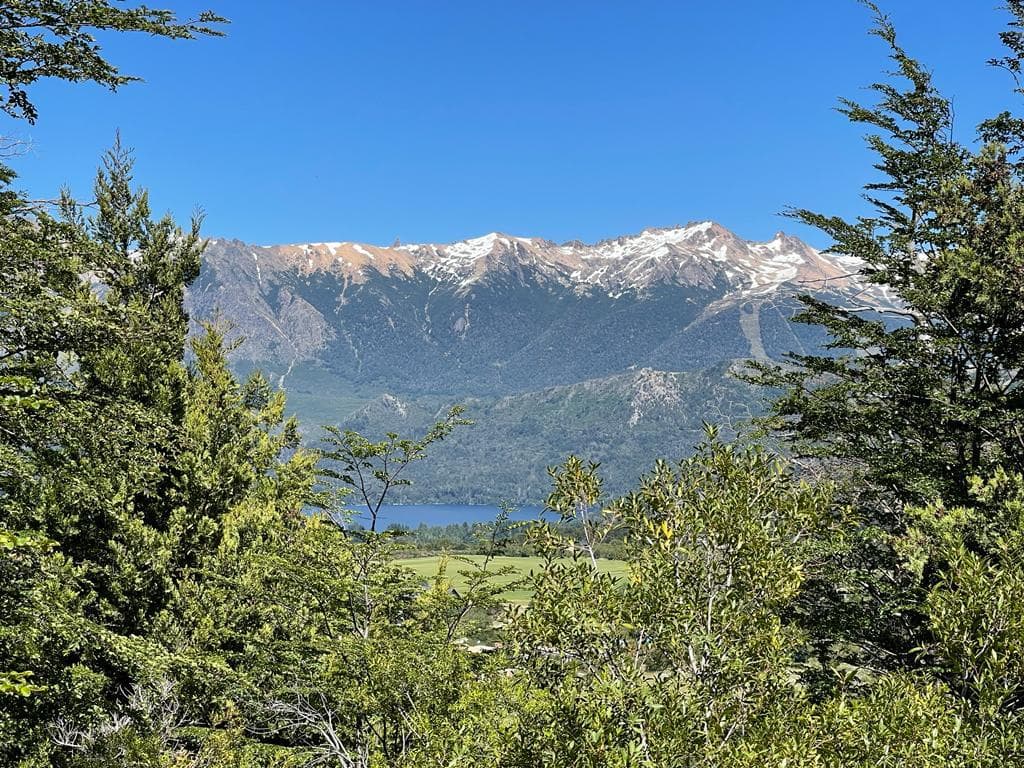 Land for Sale in Arelauquen