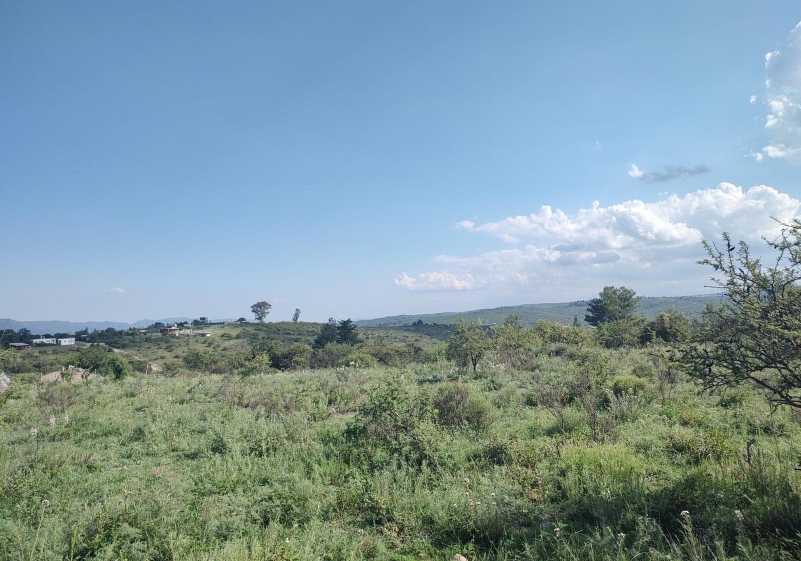 Land for Sale in Villa Giardino