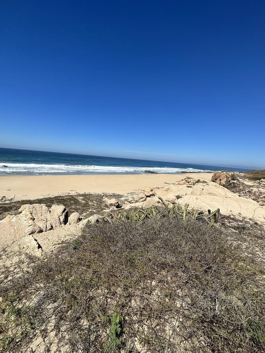 Land for Sale in San Carlos, a Unique Opportunity in Jalisco: Playa Punta Peñitas L1