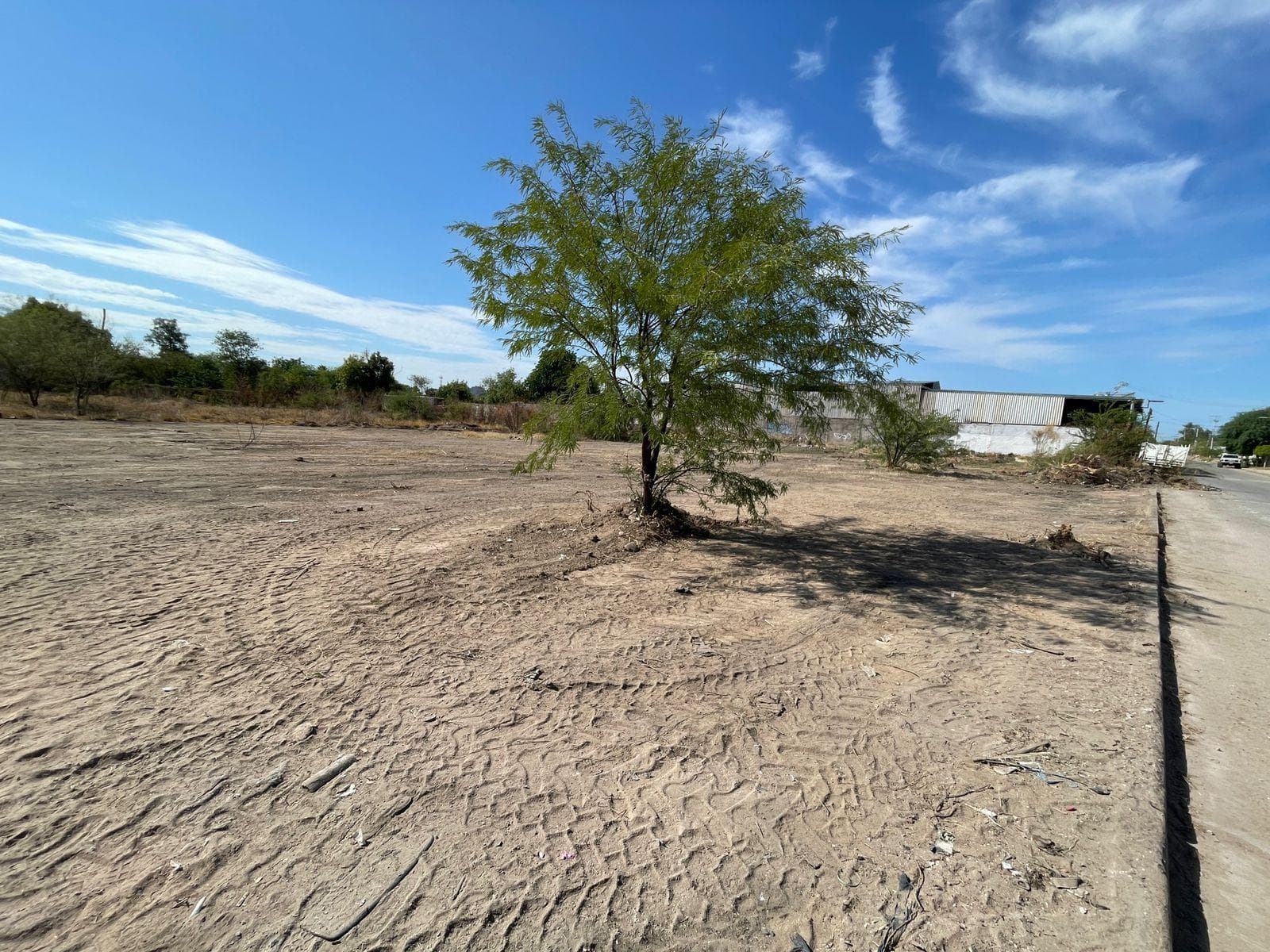 Land for Sale in Palo Verde