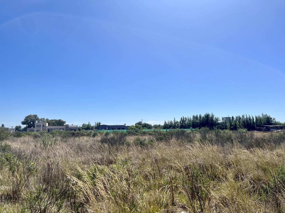 Land for Sale in the Vinelli Neighborhood - Lobos