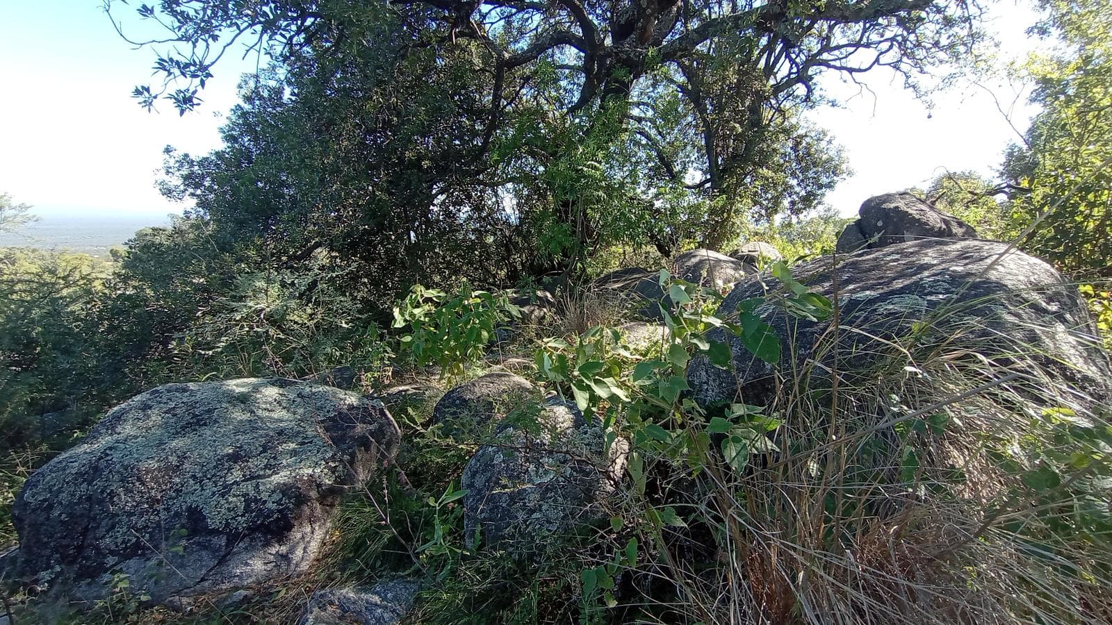 High-Altitude Ranch in Villa de Las Rosas | 2.5 Hectares | Nestled Between Mountains and Valleys