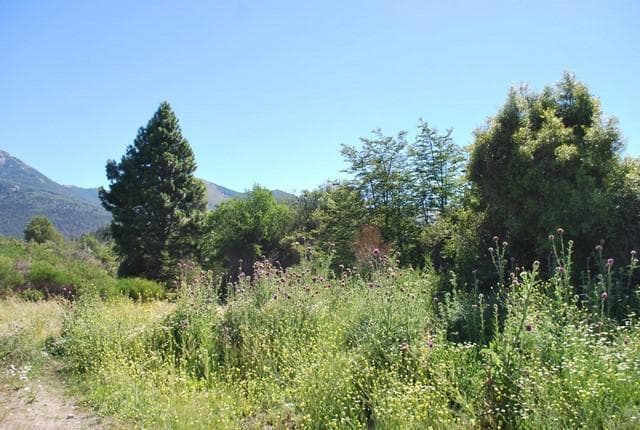 Subdivision in Lago Moreno - Bariloche