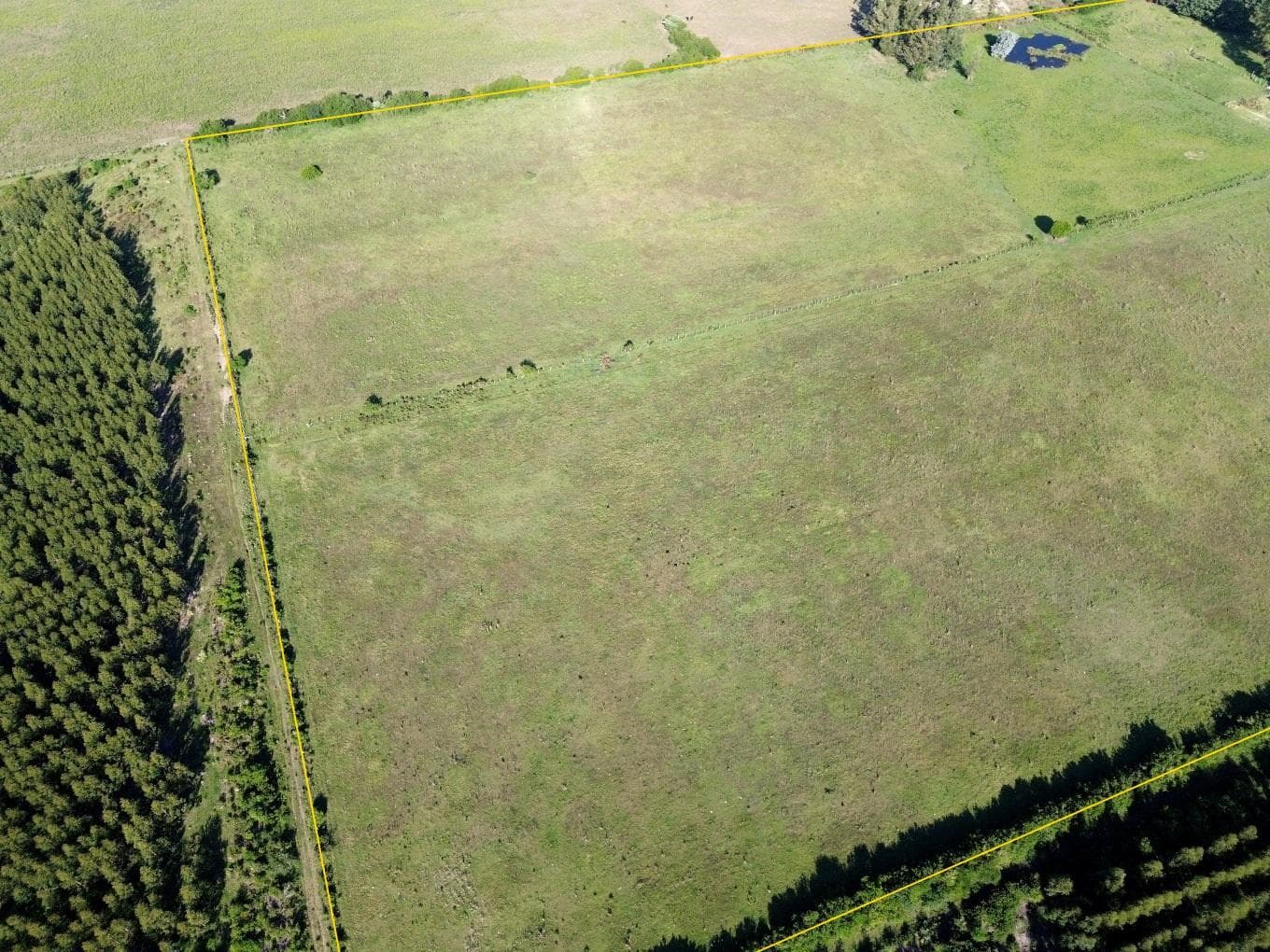 Route 1 km 139 (15 hectares) - Minuano