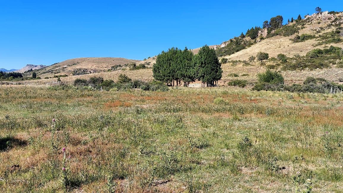 FOR SALE: 6,672 m² LOT ON PROVINCIAL ROUTE 61, HUECHULAFQUEN, JUNIN DE LOS ANDES