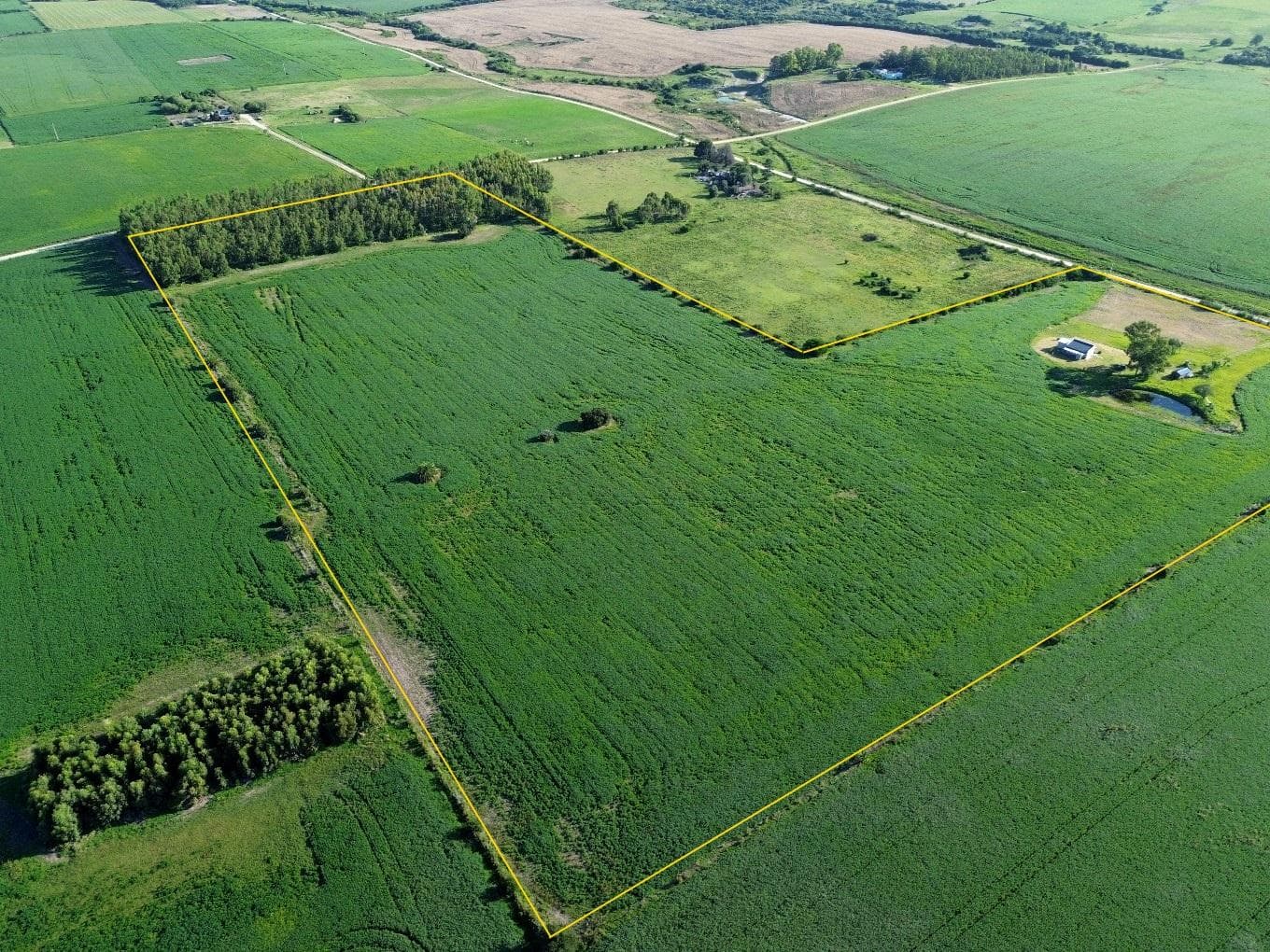 Colonia Cosmopolita - 13.7 hectares - Colonia