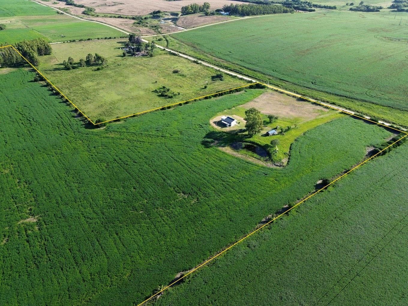Colonia Cosmopolita - 13.7 hectares - Colonia