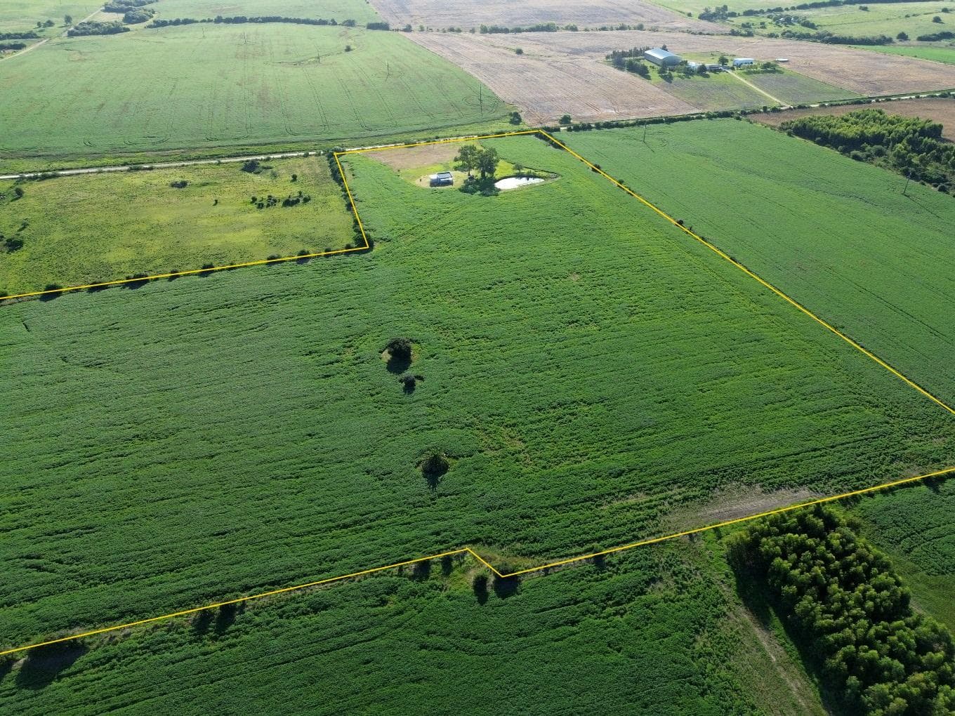 Colonia Cosmopolita - 13.7 hectares - Colonia
