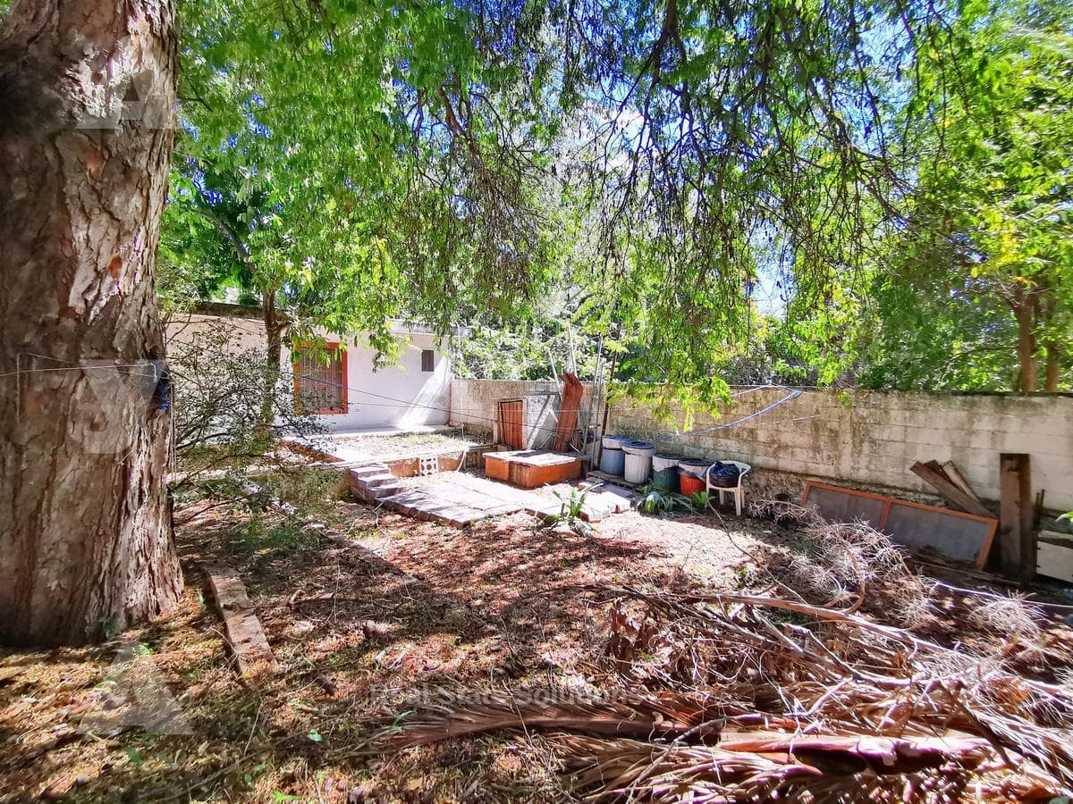 Apartments for Sale, 16 Studio Apartments, Kitchen, Downtown, Mérida, Yucatán.