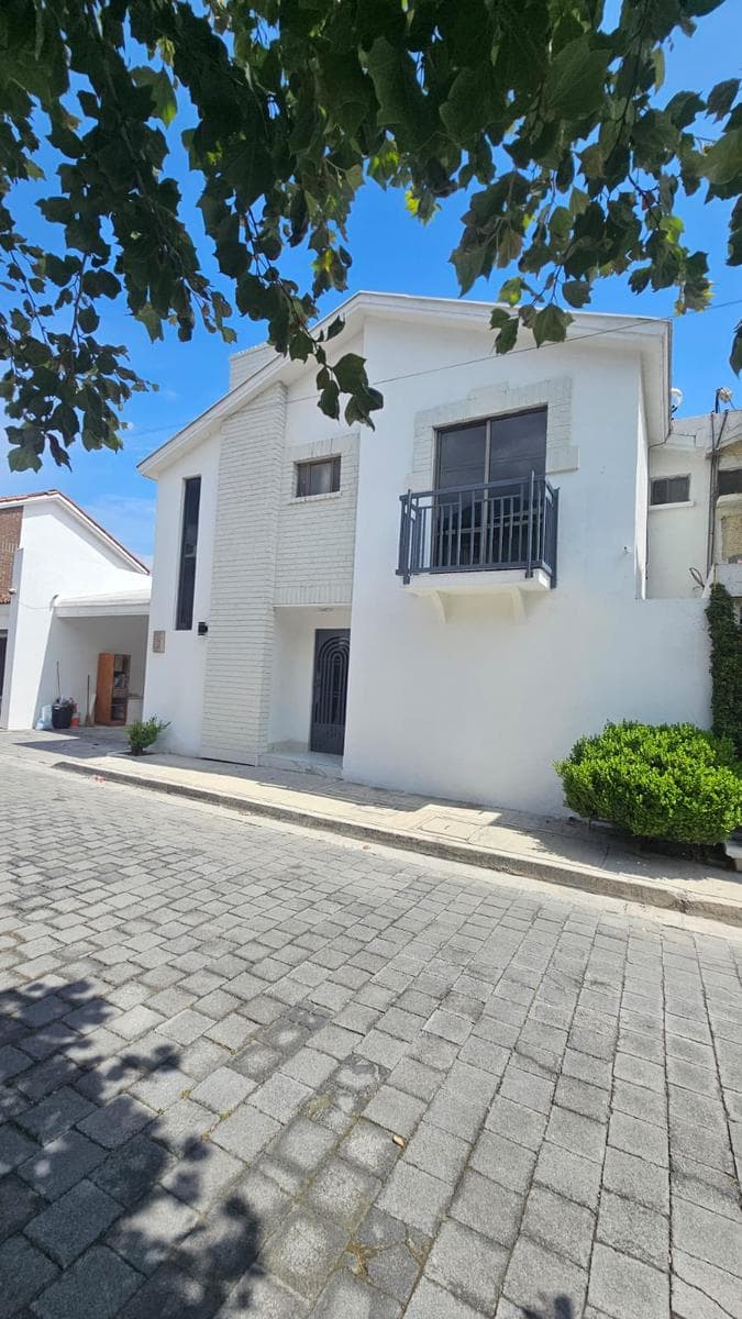 HOUSE FOR RENT IN PALO BLANCO
