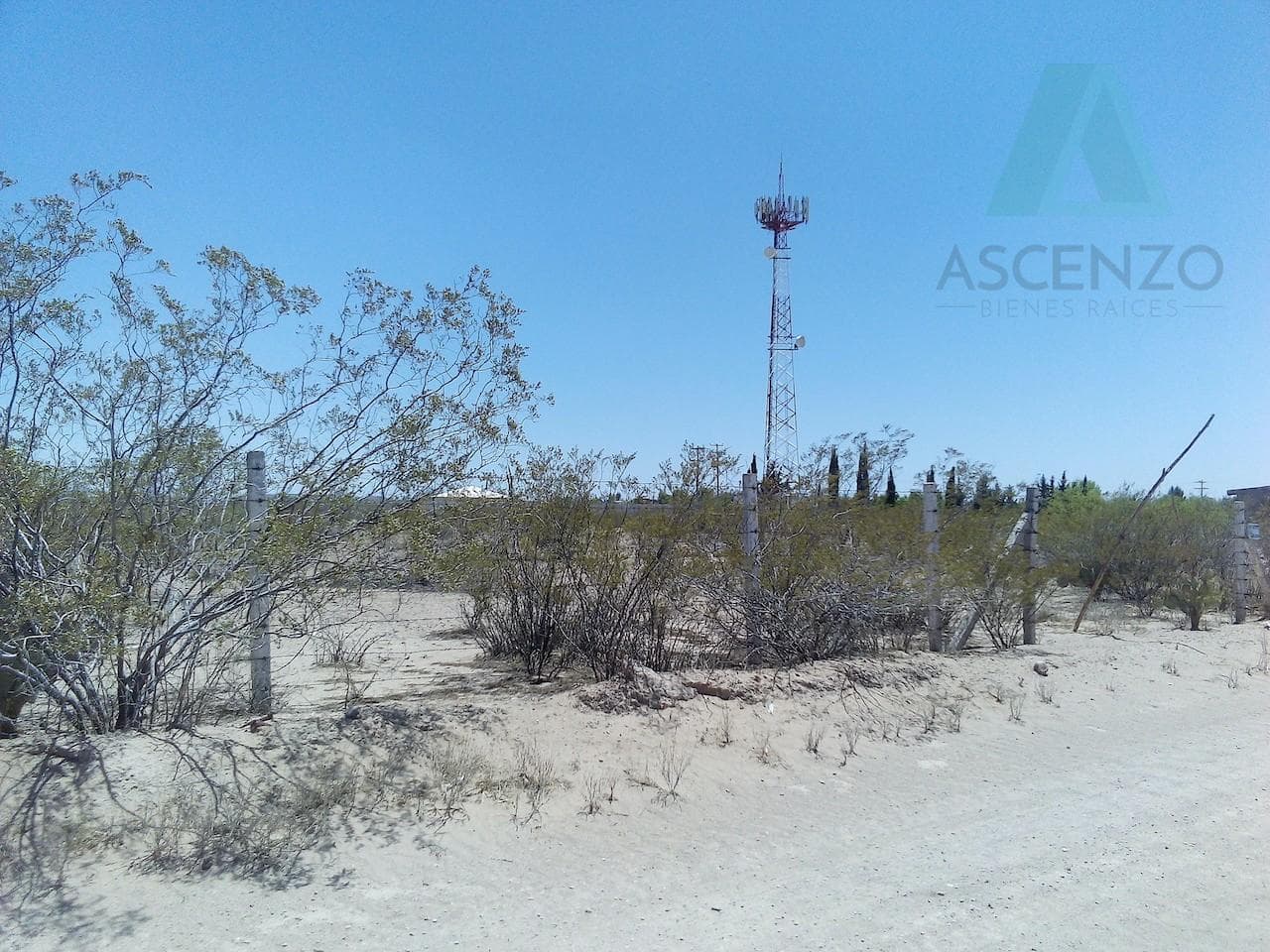 Land for Sale in Las Varas Saucillo, Delicias Inghe City
