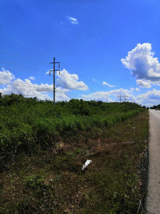 LAND FOR SALE IN VALLADOLID, YUCATÁN, ON THE ROAD TO TEMOZÓN, WITH HIGH APPRECIATION POTENTIAL
