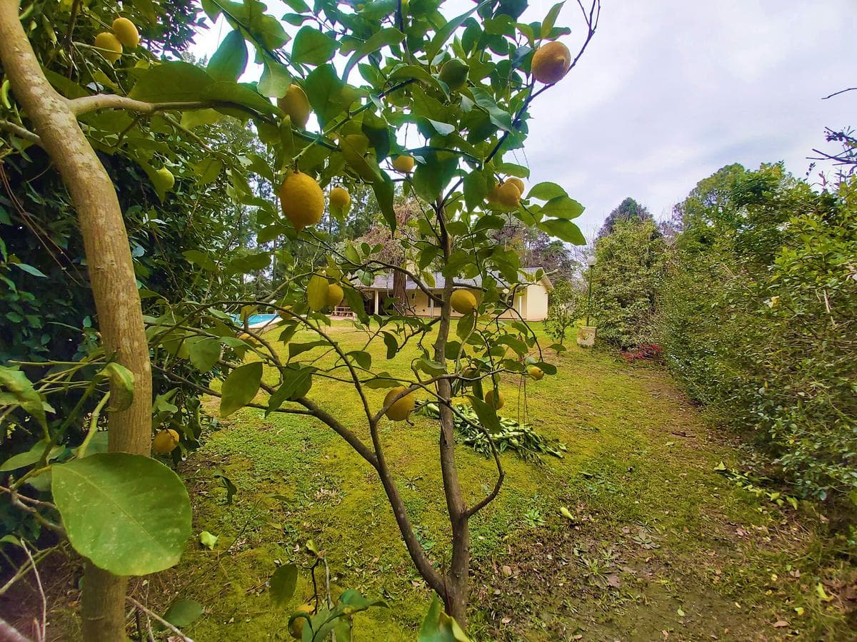 Beautiful property with a 3,000 m2 lot in the Parque Exaltación neighborhood