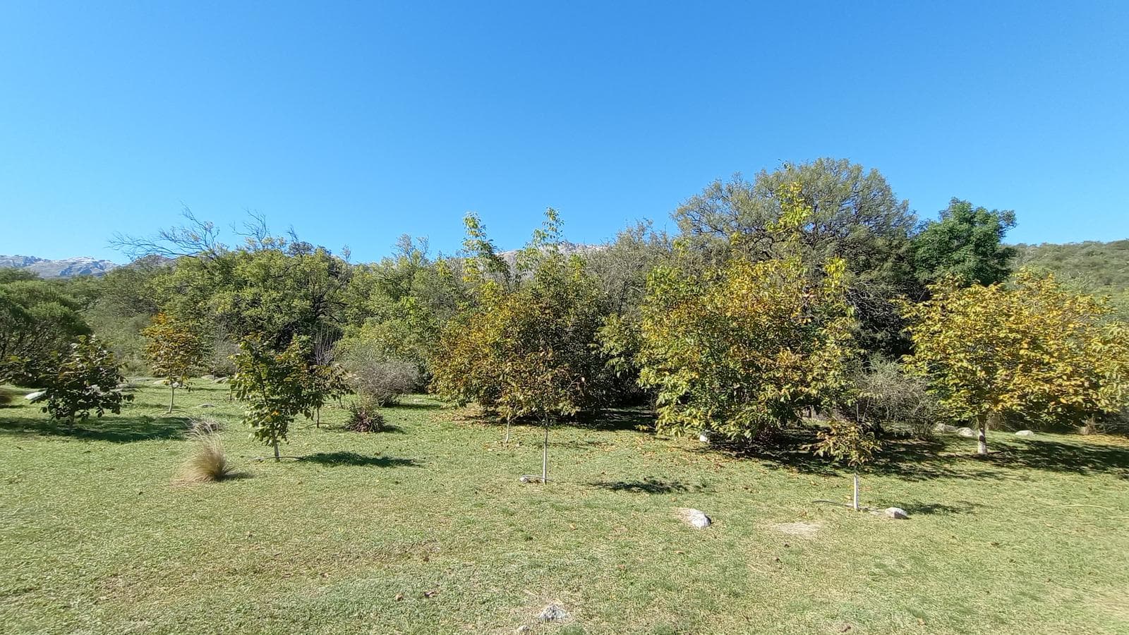 High-Altitude Ranch in Villa de Las Rosas | 2.5 Hectares | Nestled Between Mountains and Valleys