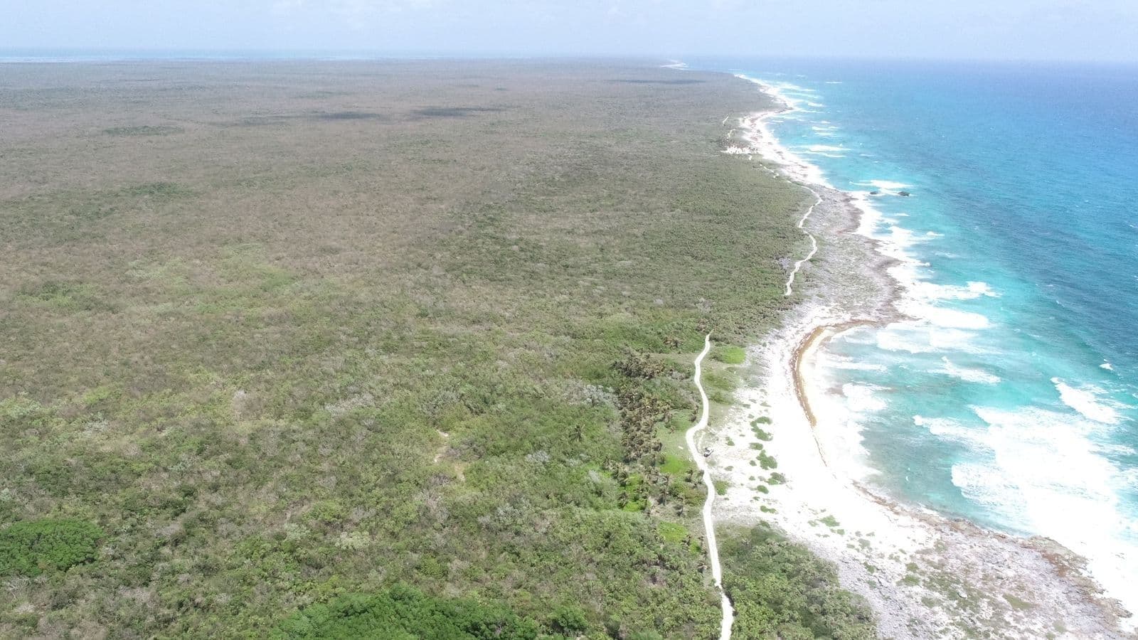 Oceanfront Lots in Playa Cozumel.