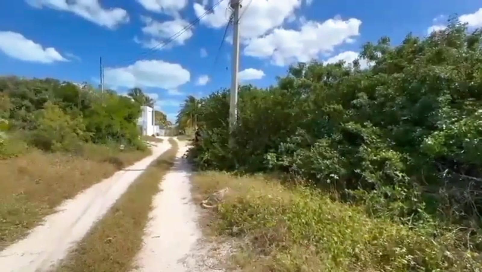 Lots for Sale on Chuburna Puerto Beach, Just Steps from the Ocean