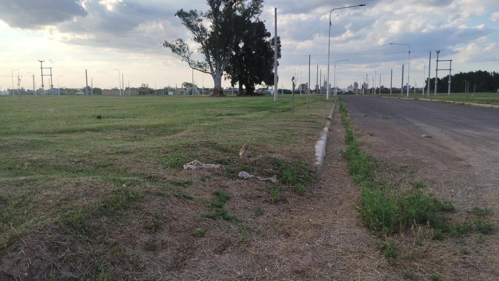 Land for Sale/Financing in Francisco Primero - Arroyo Seco
