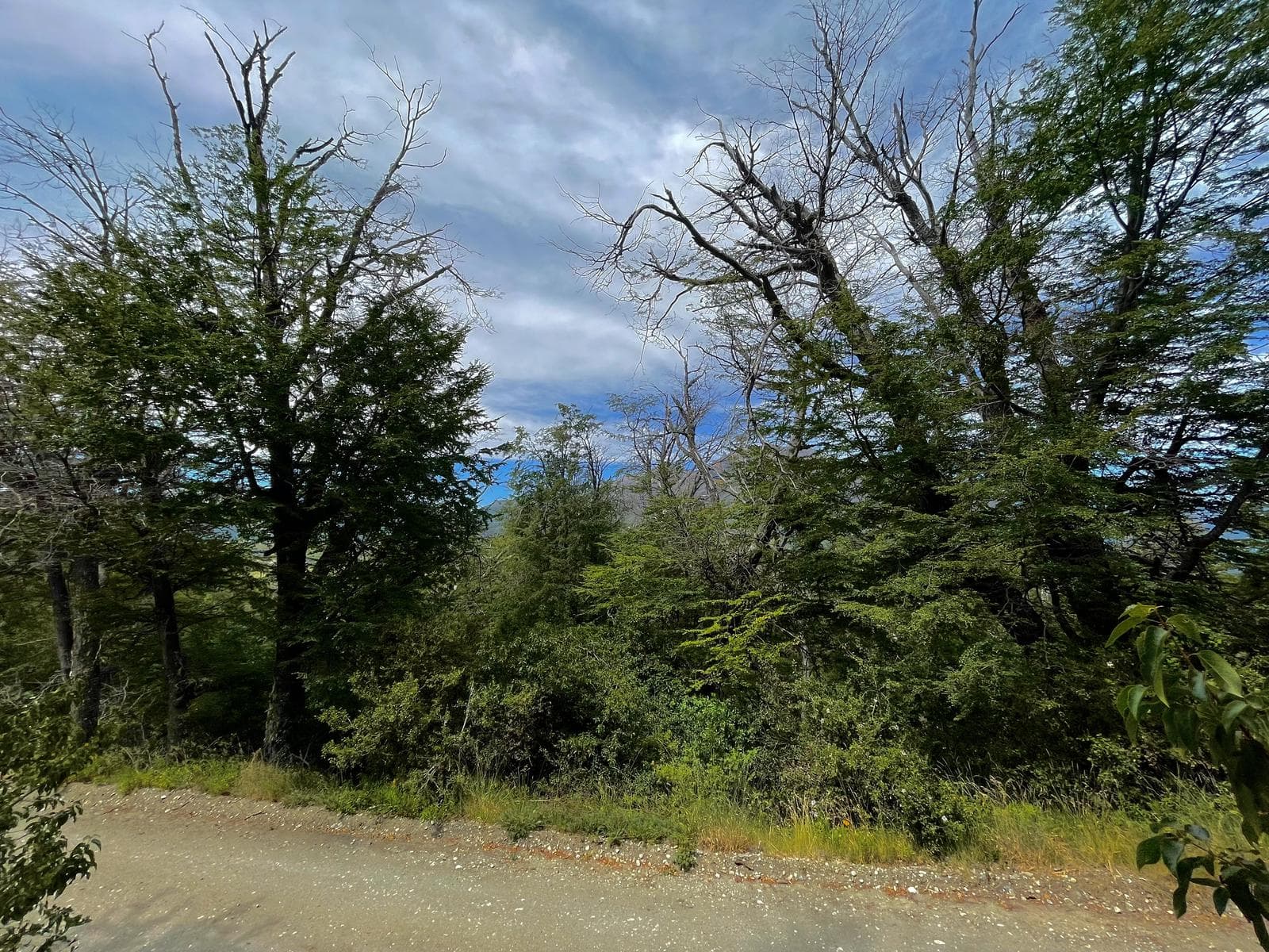 Lot in the exclusive Arelauquen area - Bariloche